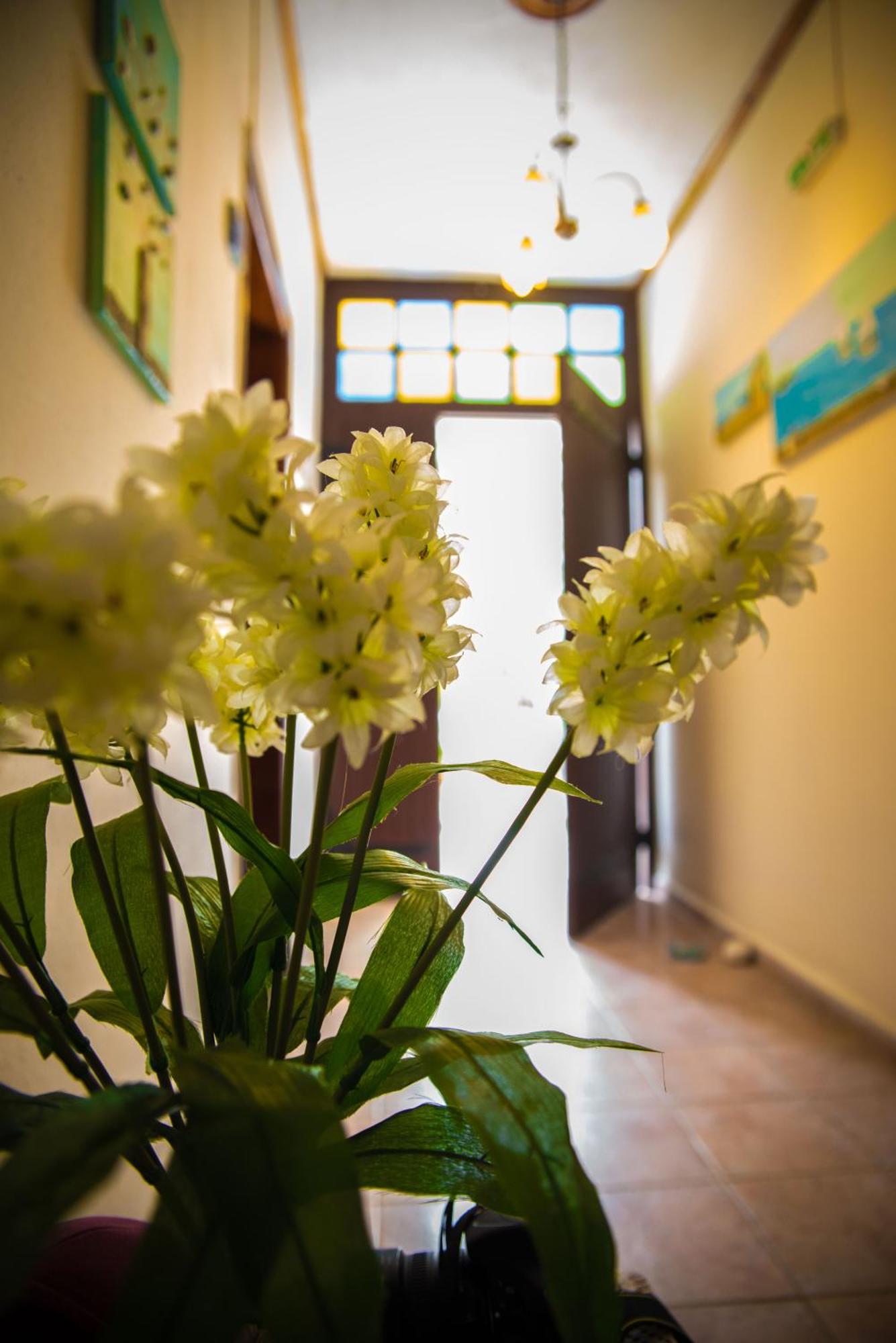 Olga Studios アフィソス 部屋 写真